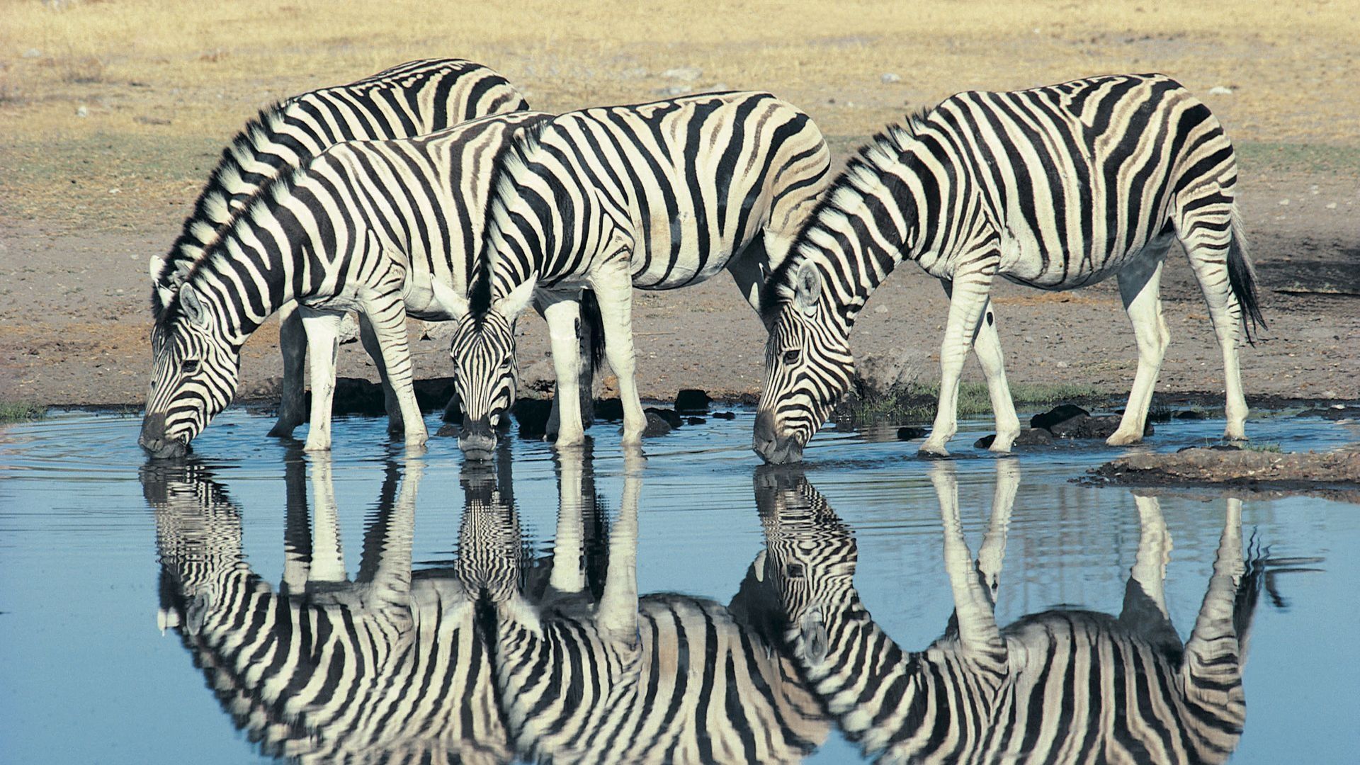 JAR - Namibie - Botswana - Zimbabwe