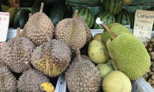 Extrémní a exotické kuchyně ve světě