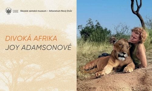 Divoká Afrika Joy Adamsonové