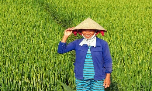 Vietnam - Rýže, káva, cukrová limonáda