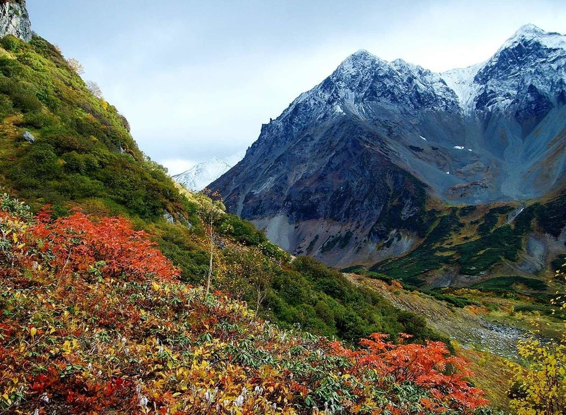 Первозданный край. Гора Вачкажец Камчатка. Горный массив Вачкажец Камчатка. Горная растительность Камчатка Вачкажец. Гора Вачкажец Камчатка зима.