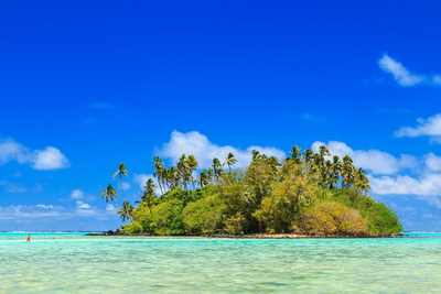 Nový Zéland - Vanuatu - Fidži - Tonga - Samoa
