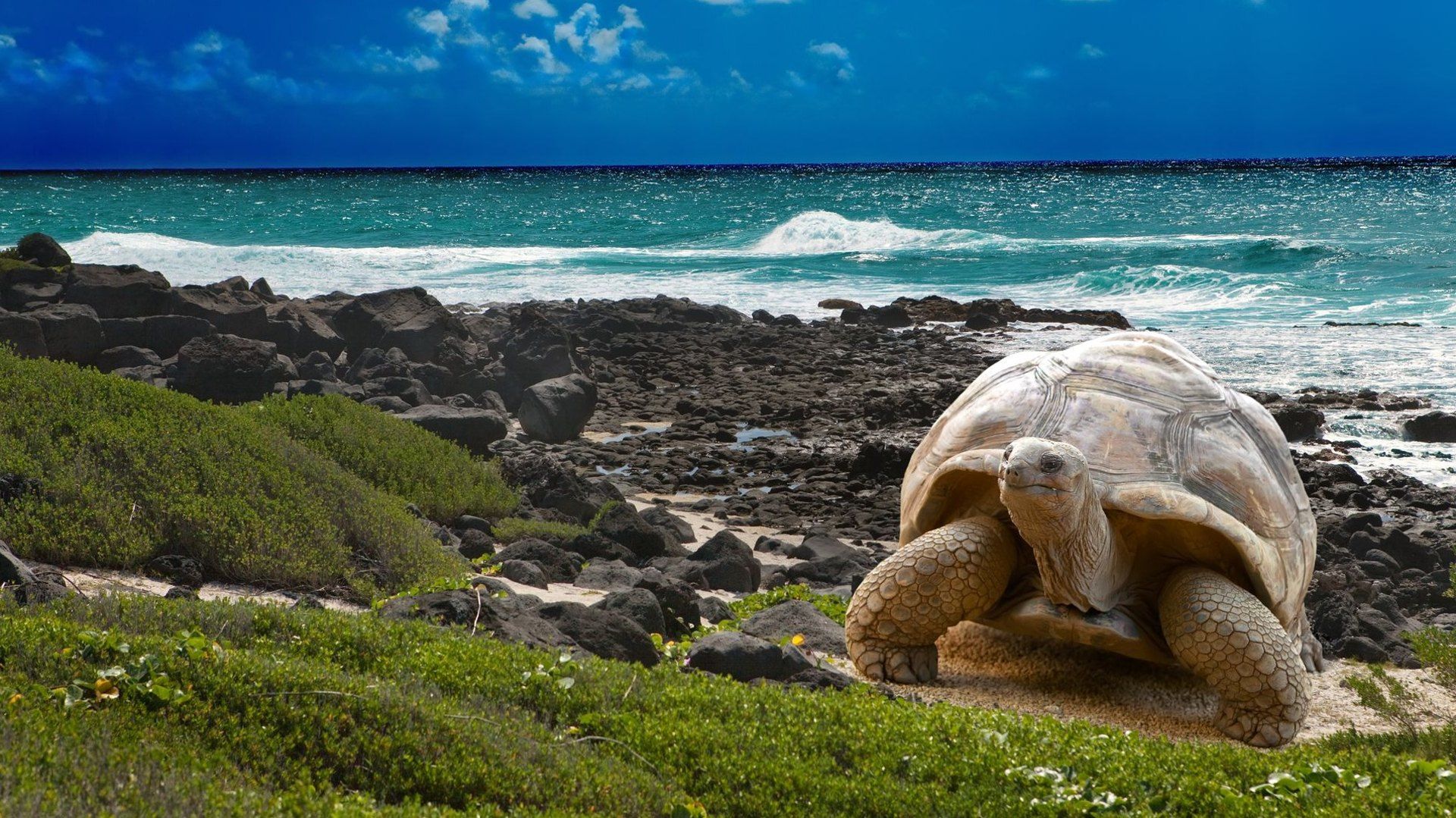 Galapágy