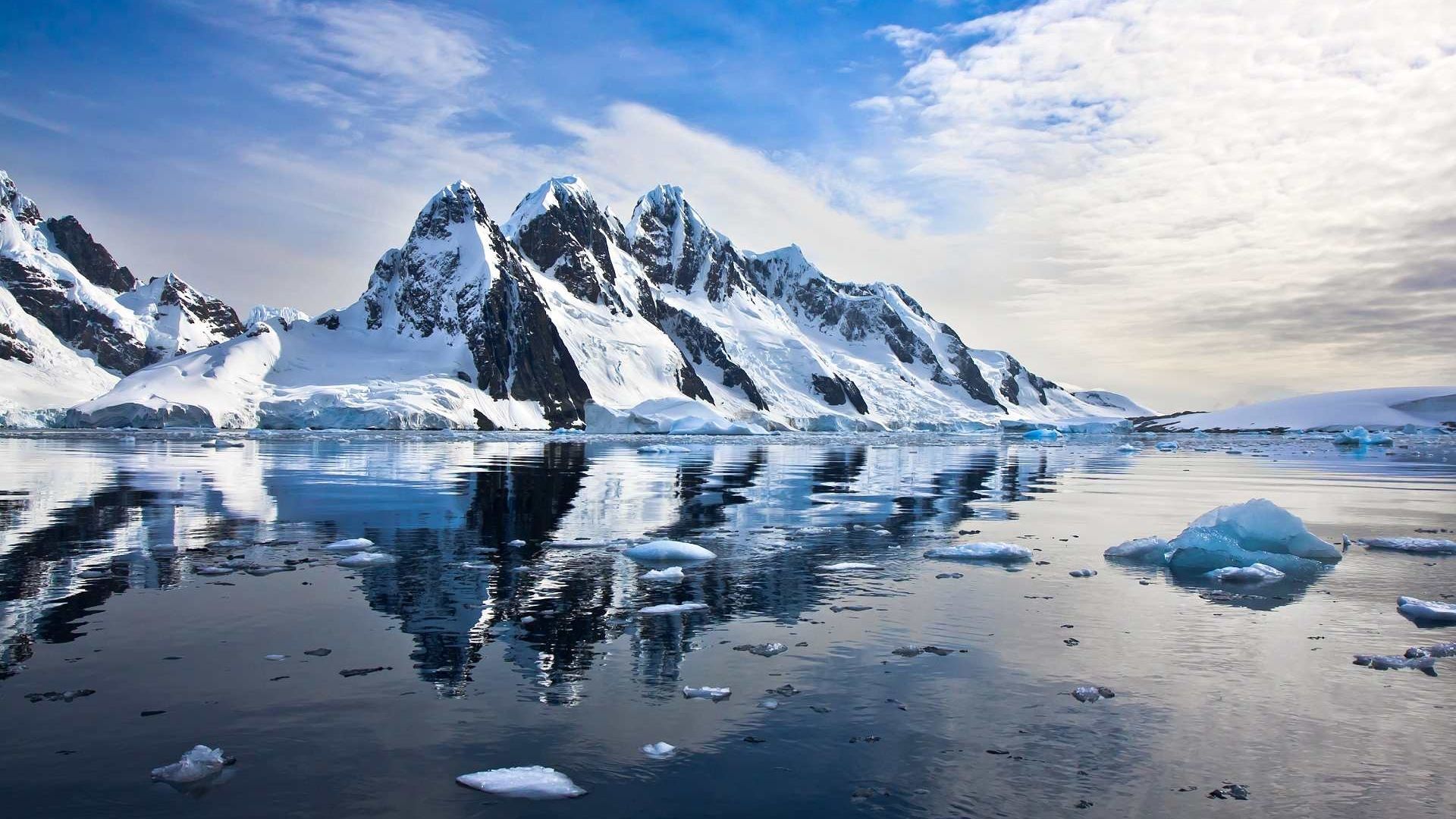 Antarktida a Arktida