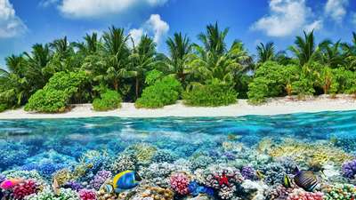Tahiti