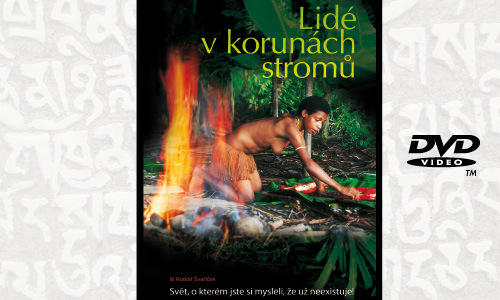 Lidé v korunách stromů