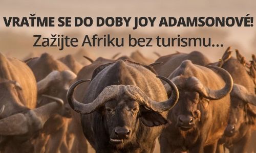 Stejná Afrika jako za doby Joy Adamsonové! Zažijte ji taky...