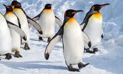 Poděkování a přání do nového roku