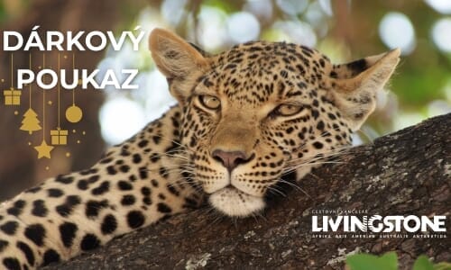 Darujte pod stromeček životní zážitky! Ještě to stíháme...