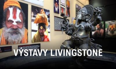 Výstavy LIVINGSTONE