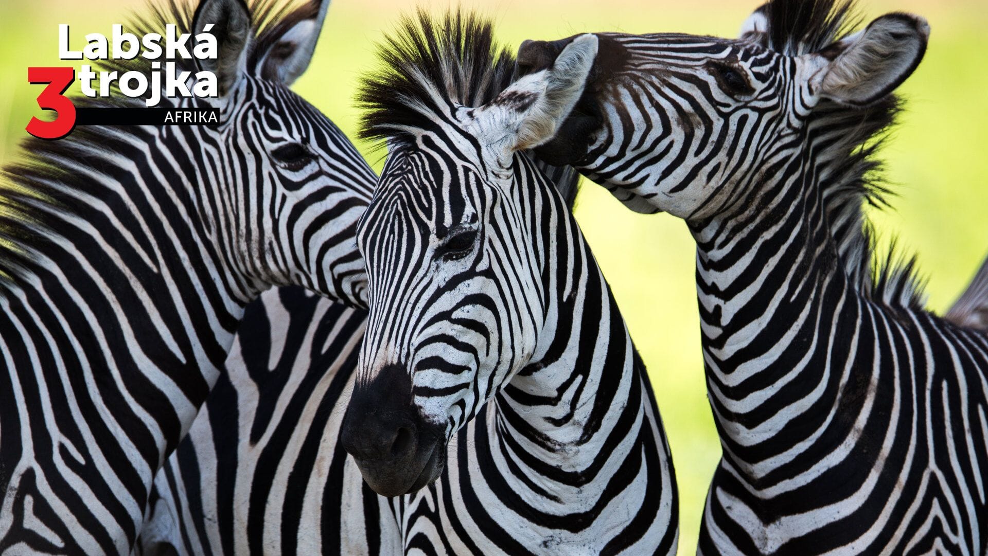 Labská trojka - ZOO Dvůr Králové
