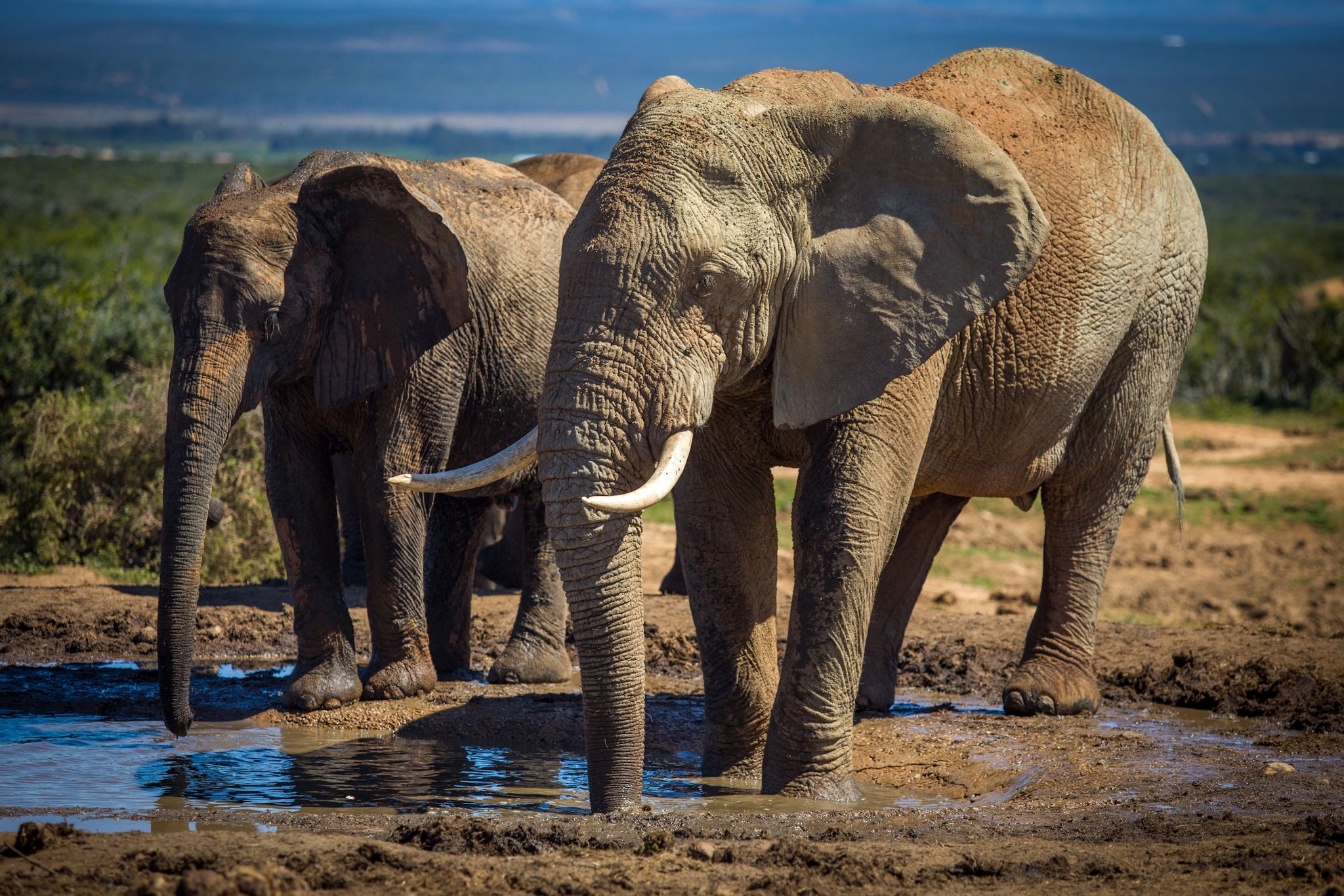 Tanzanie safari - Zanzibar