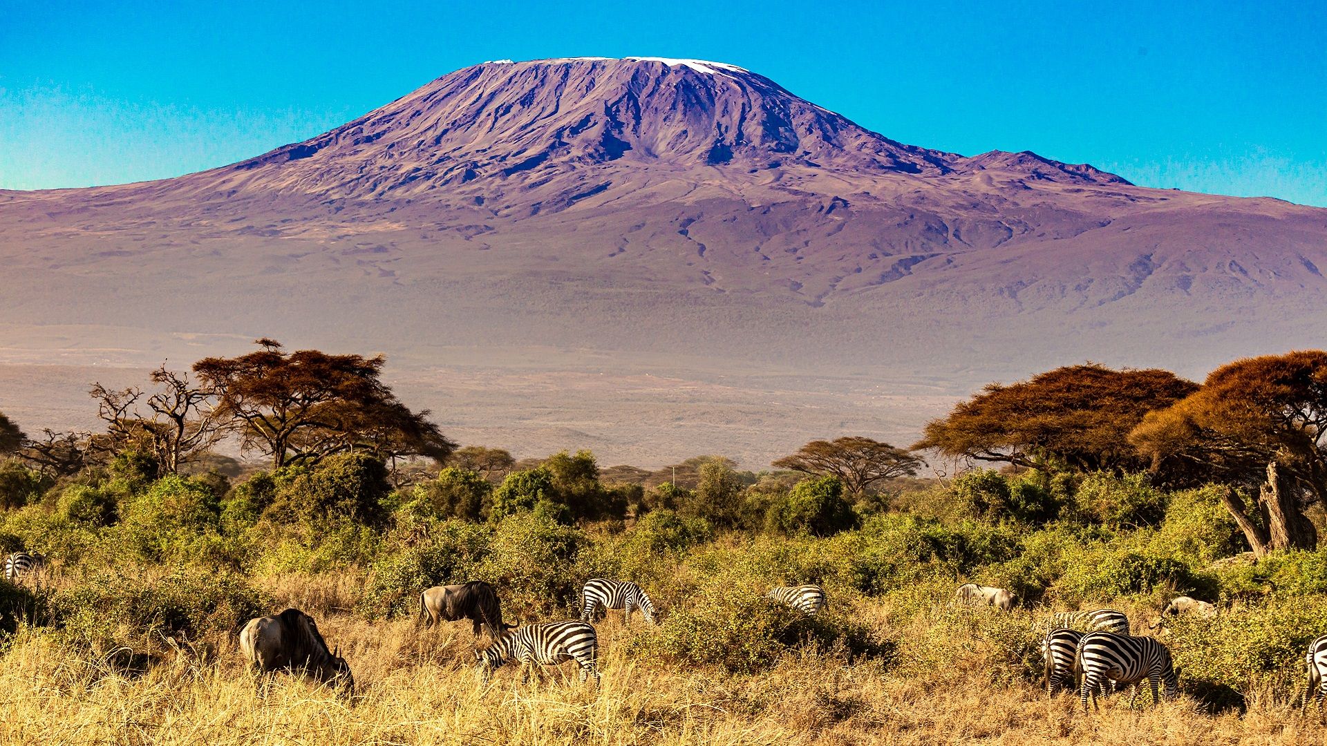 Mount Meru - Kilimandžáro - safari