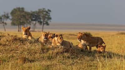 Keňa - Tanzanie - Zanzibar