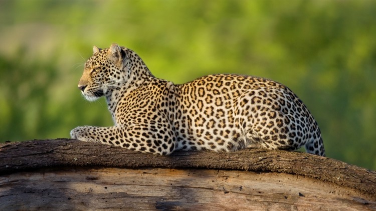 Keňa - Tanzanie - Zanzibar