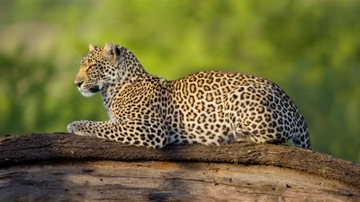 Keňa - Tanzanie - Zanzibar