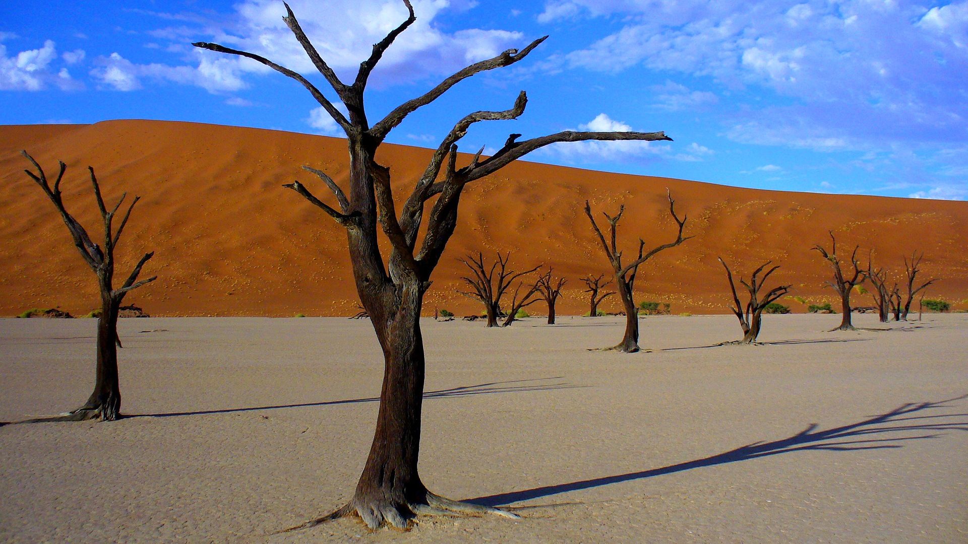 Zimbabwe - Botswana - Namibie - JAR