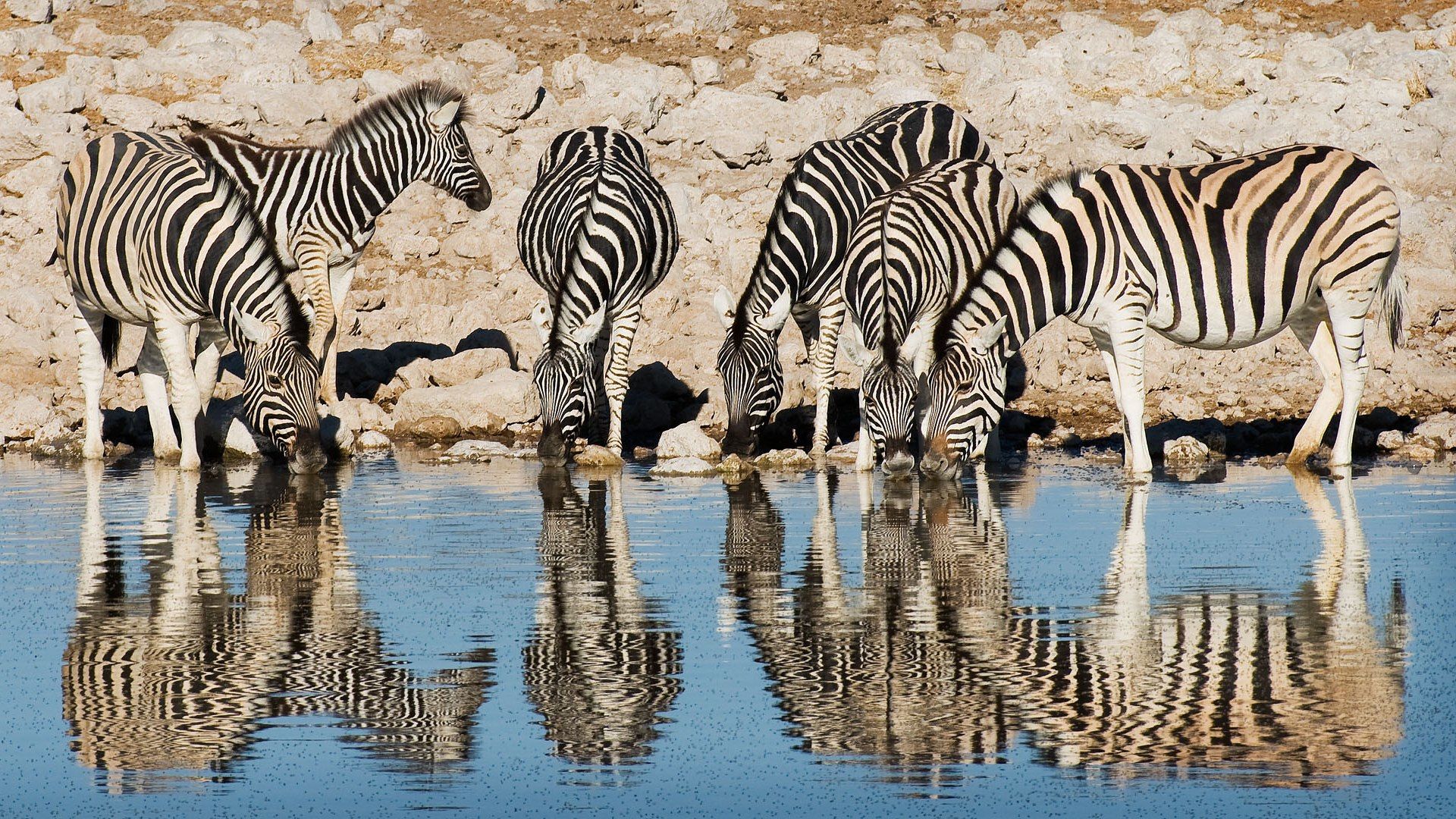 JAR - Svazijsko - Zimbabwe - Botswana - Namibie