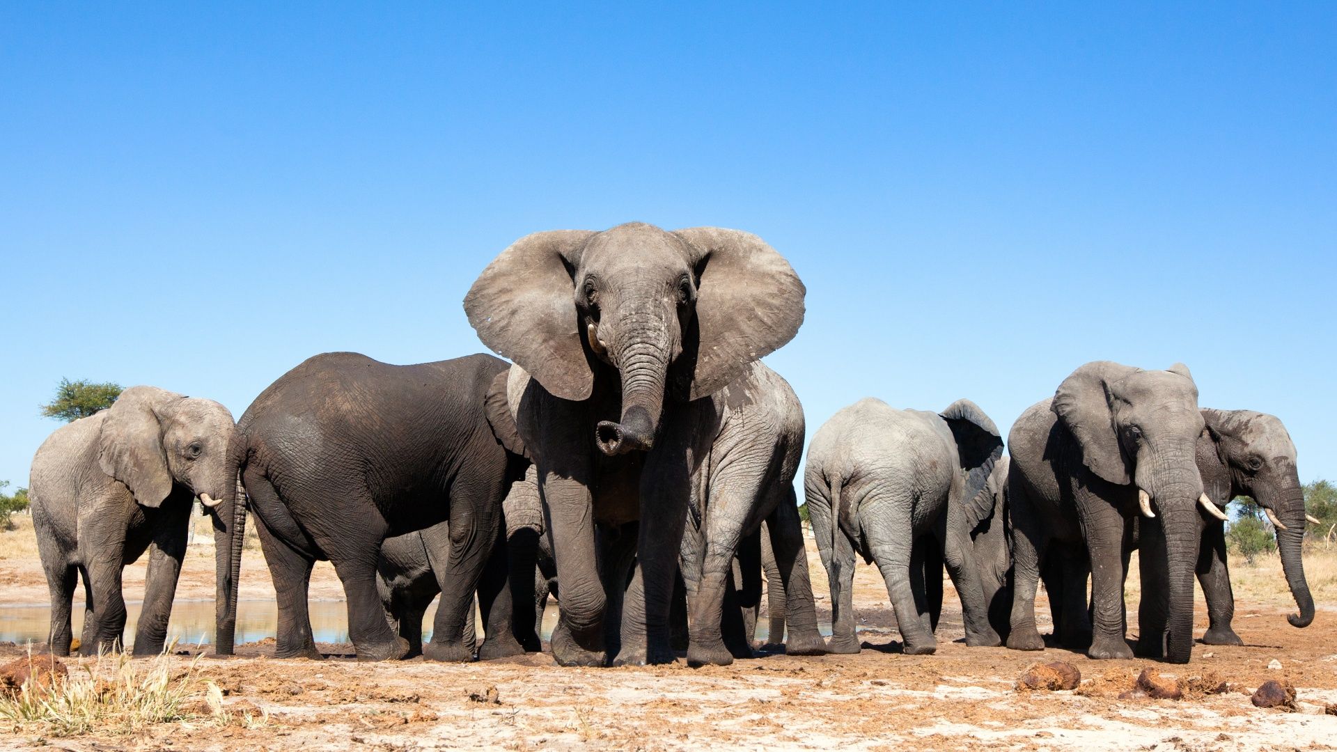 Zimbabwe - Botswana - Namibie