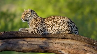 Jižní Tanzanie - Zanzibar