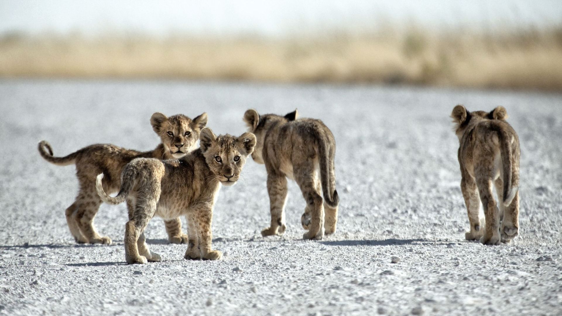 Outdoorová Namibie