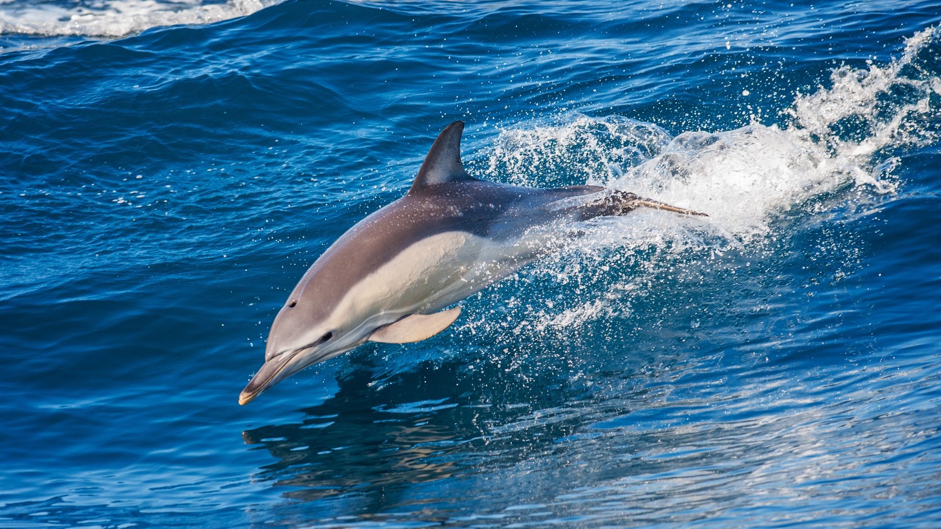 Madeira