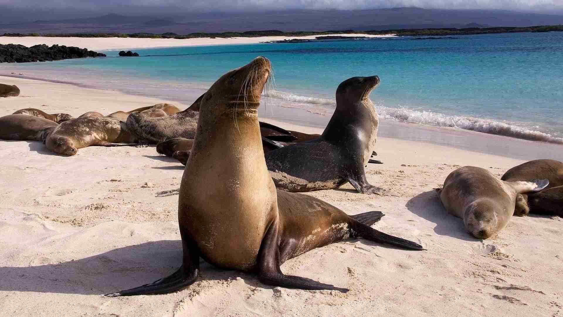 Ekvádor a Galapágy