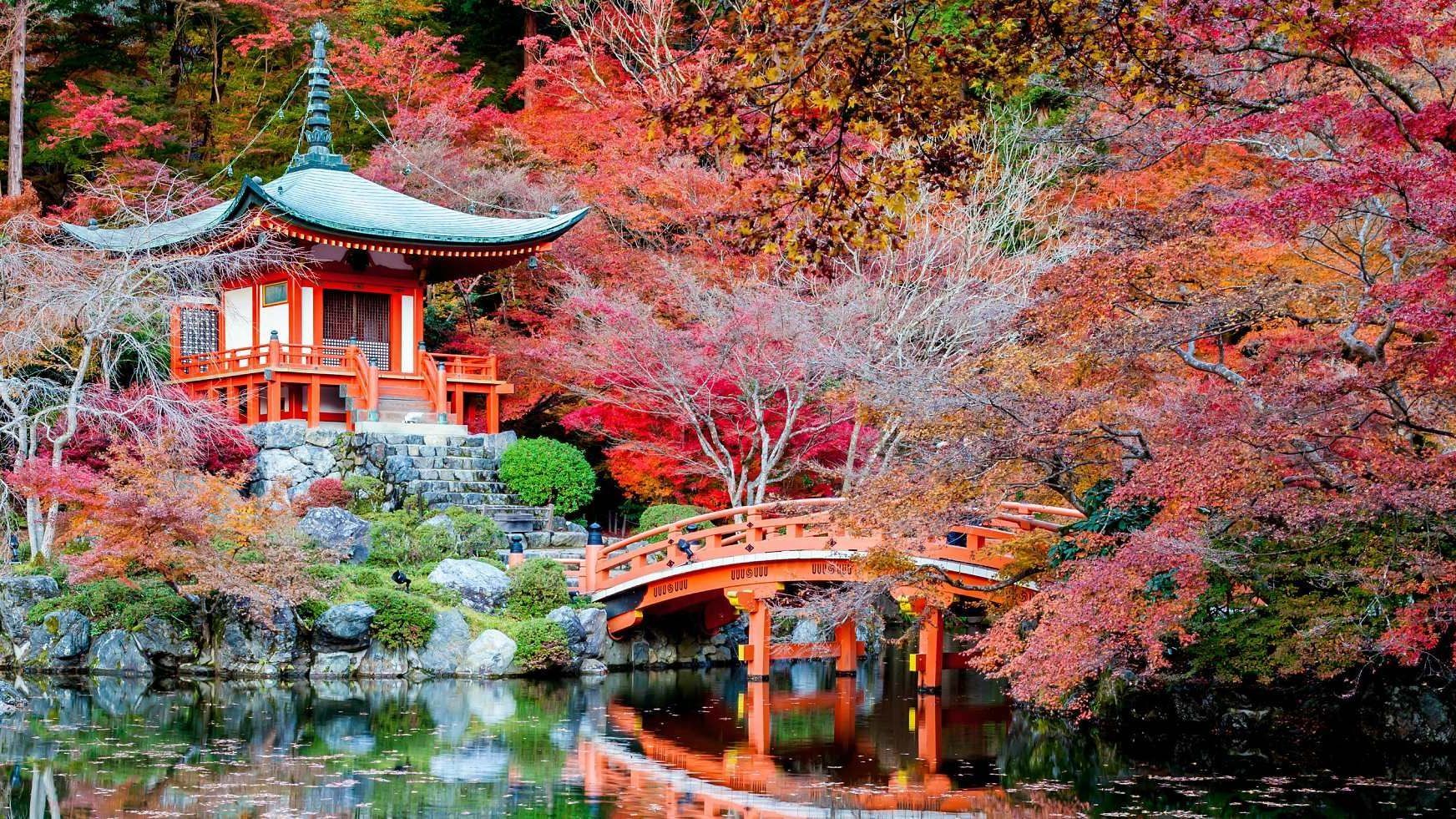 Zážitkové podzimní Japonsko