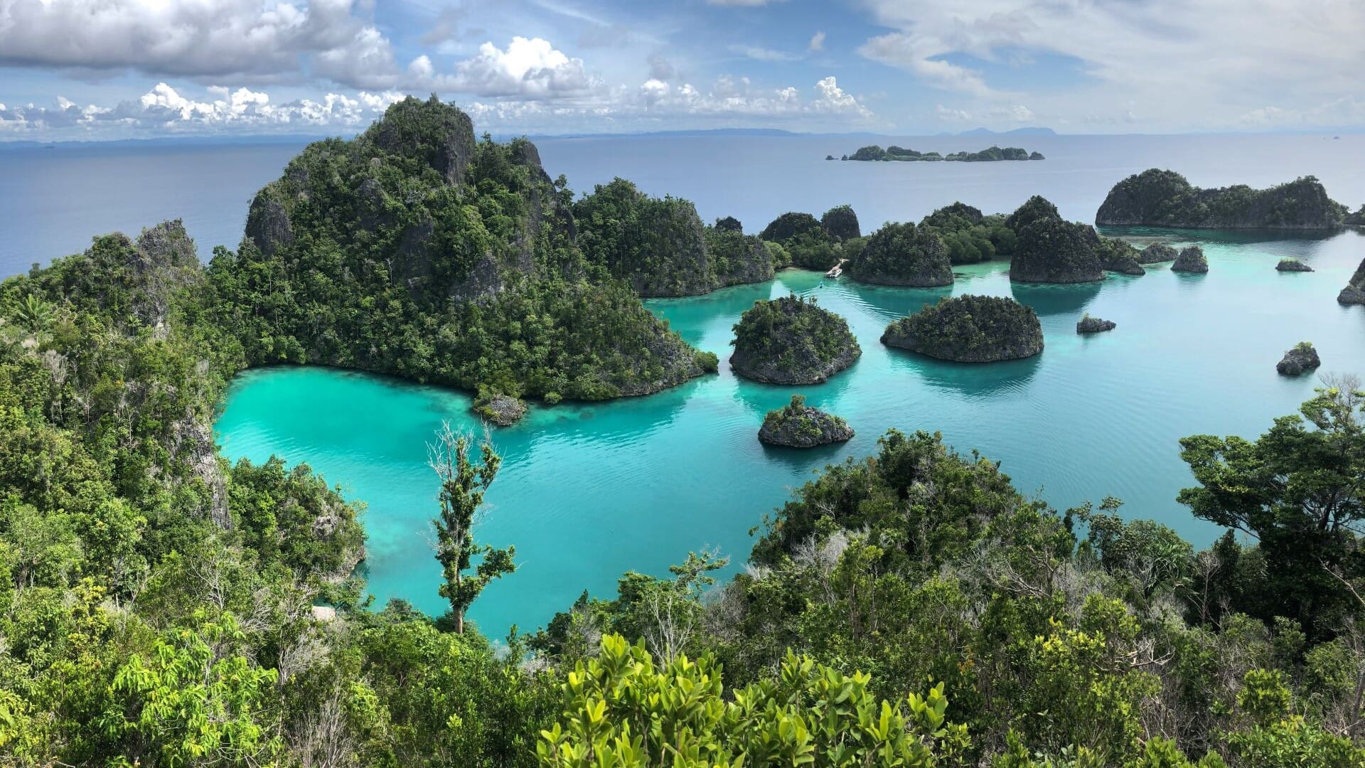 Papua i tropická Sumatra komfortněji