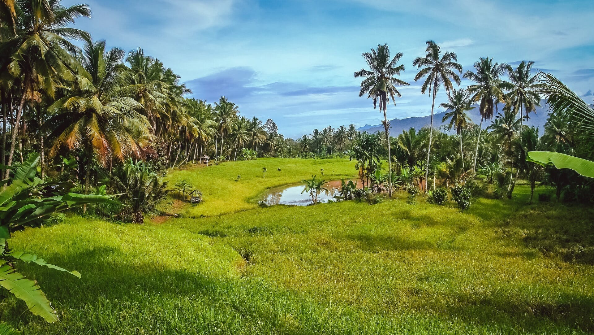 Zážitková Indonésie