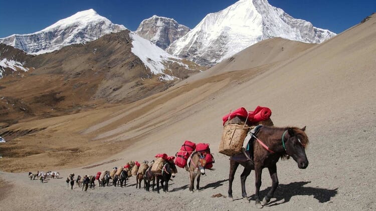 Bhútán - Snowman a Masagang trek