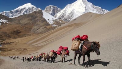 Bhútán - Snowman a Masagang trek